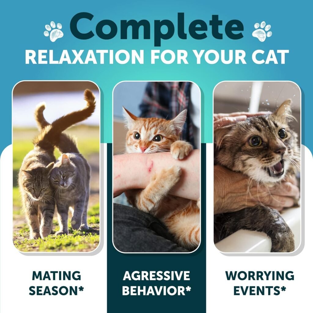 Hemp Cat Calming Treats - Cat Anxiety Relief - Storm Anxiety, Сomposure, Grooming, Separation, Travel - Calming Aid for Cats with Hemp Oil, L-Theanine - Cat Melatonin - Made in USA - 135 Soft Chews