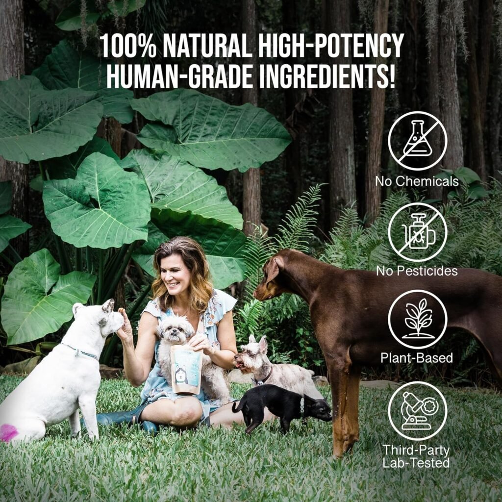 Hemp Dog Health - Soothe - High-Potency Hemp Salve for Natural Dog Allergy Relief  Everyday Bug Bite  Hot Spot Itch Relief for Dogs - Made with Natural Extracts  Human-Grade Hemp Oil for Dogs