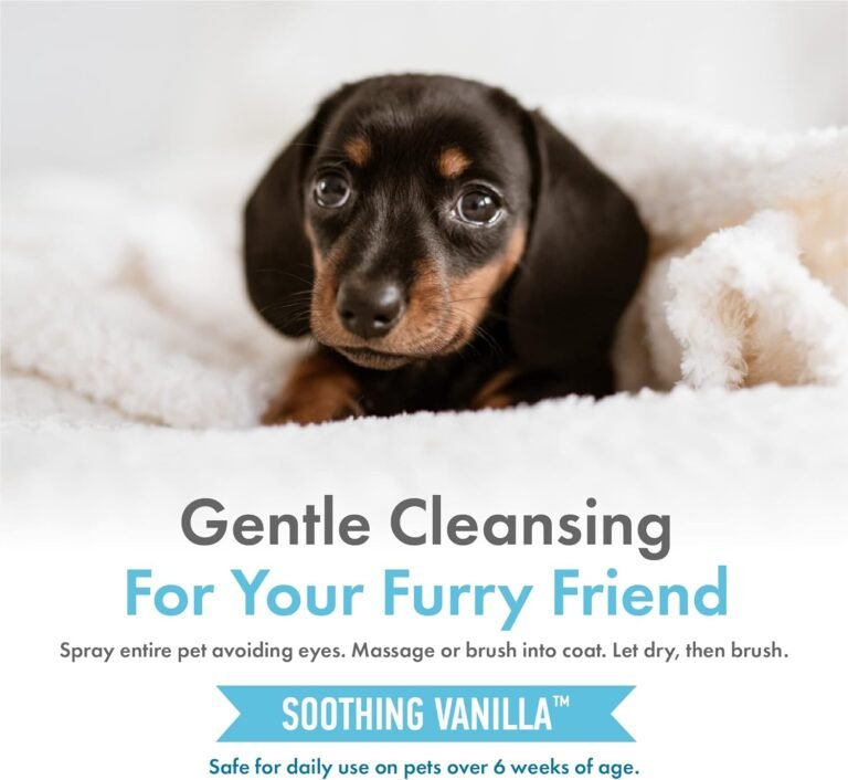 Hemp Oil & Soothing Vanilla Extract Shampoo Review
