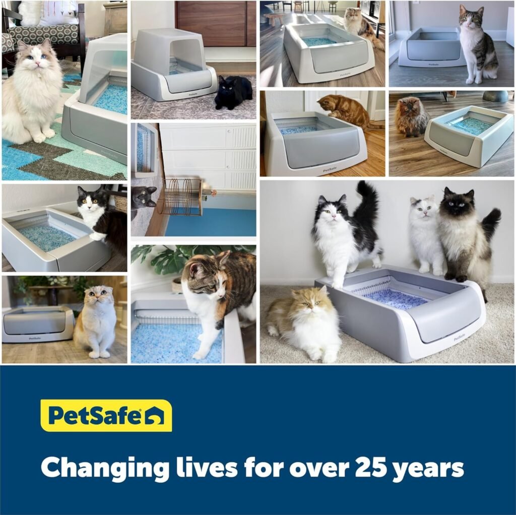 PetSafe ScoopFree Complete Plus Self-Cleaning Cat Litterbox - Hands-No Cleanup With Disposable Crystal Tray - Less Tracking, Better Odor Control - Includes Disposable Tray