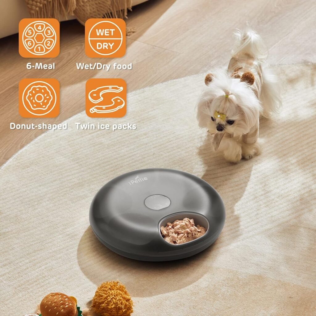 iPettie Donuts Frost 6 Meal Cordless Automatic Pet Feeder, Dry  Wet Food Automatic Cat Feeder with Two Ice Packs, Rechargeable Massive Battery, Programmable Timer, Holds 6 x ½ lb. of Food