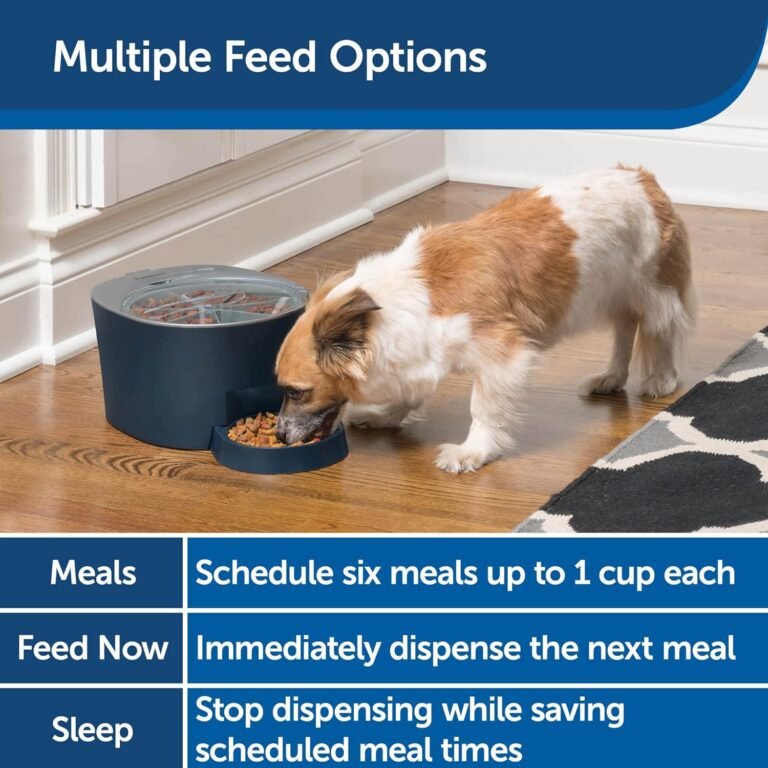 PetSafe 6 Meal Programmable Pet Food Dispenser Review