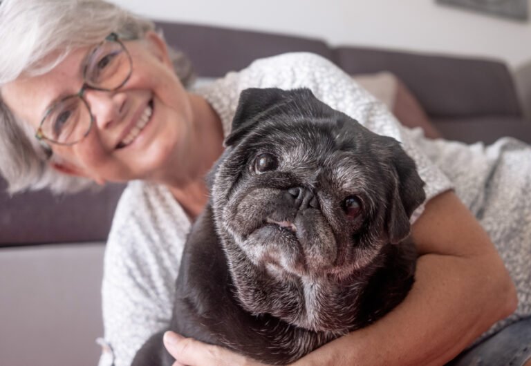 Senior Pets: Special Care for Aging Companions