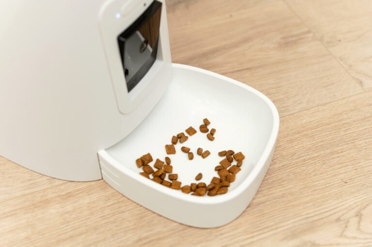 Best WOPET Automatic Pet Feeders: Features & Performance